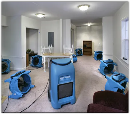 Water Damage Assessment in Silverthorne, CO