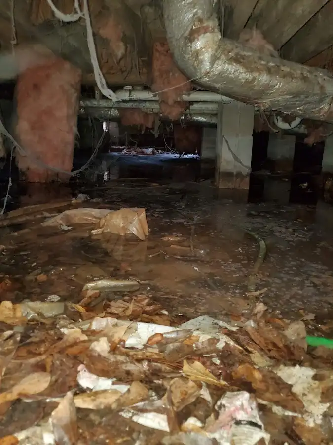 Crawl space flood assessment for Leak Detection & Repair in Silverthorne